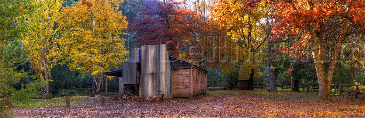 Peter Bellingham Photography Howqua Paradise - VIC (PBH4 00 13751)